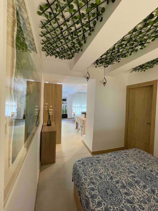 Apartamento Mediterraneo A 20M De La Playa 德尼亚 外观 照片